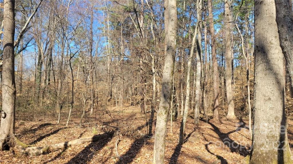 22 Boy Scout Road Lincolnton, NC 28092 - Photo 14 of 27 Gallery Image 14