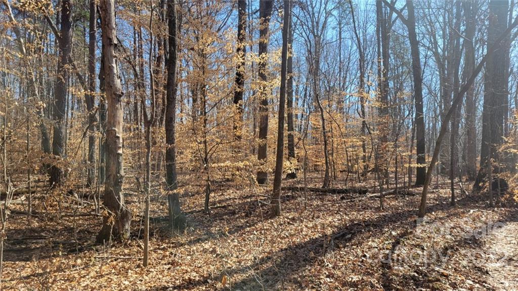 22 Boy Scout Road Lincolnton, NC 28092 - Photo 15 of 27 Gallery Image 15
