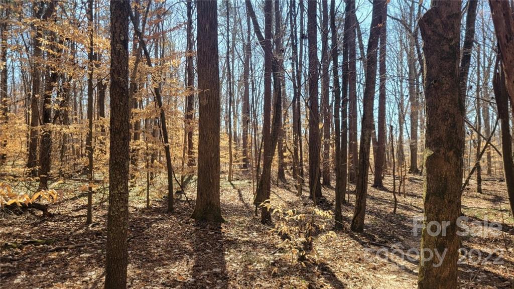 22 Boy Scout Road Lincolnton, NC 28092 - Photo 16 of 27 Gallery Image 16