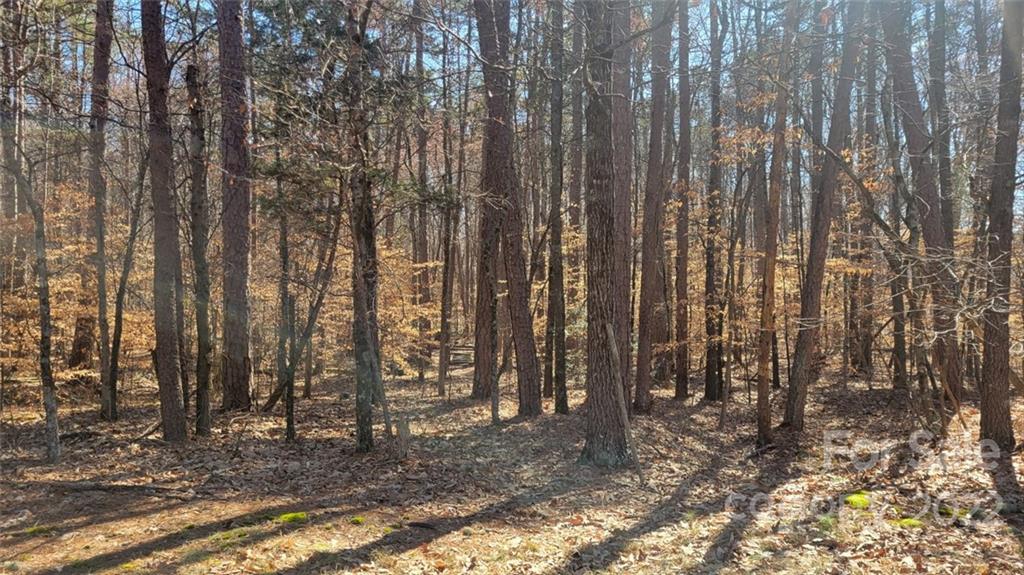 22 Boy Scout Road Lincolnton, NC 28092 - Photo 17 of 27 Gallery Image 17