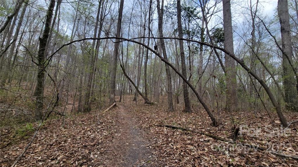 22 Boy Scout Road Lincolnton, NC 28092 - Photo 18 of 27 Gallery Image 18