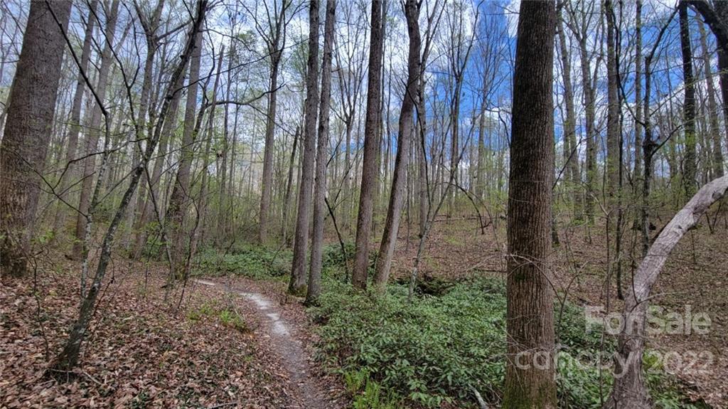 22 Boy Scout Road Lincolnton, NC 28092 - Photo 19 of 27 Gallery Image 19
