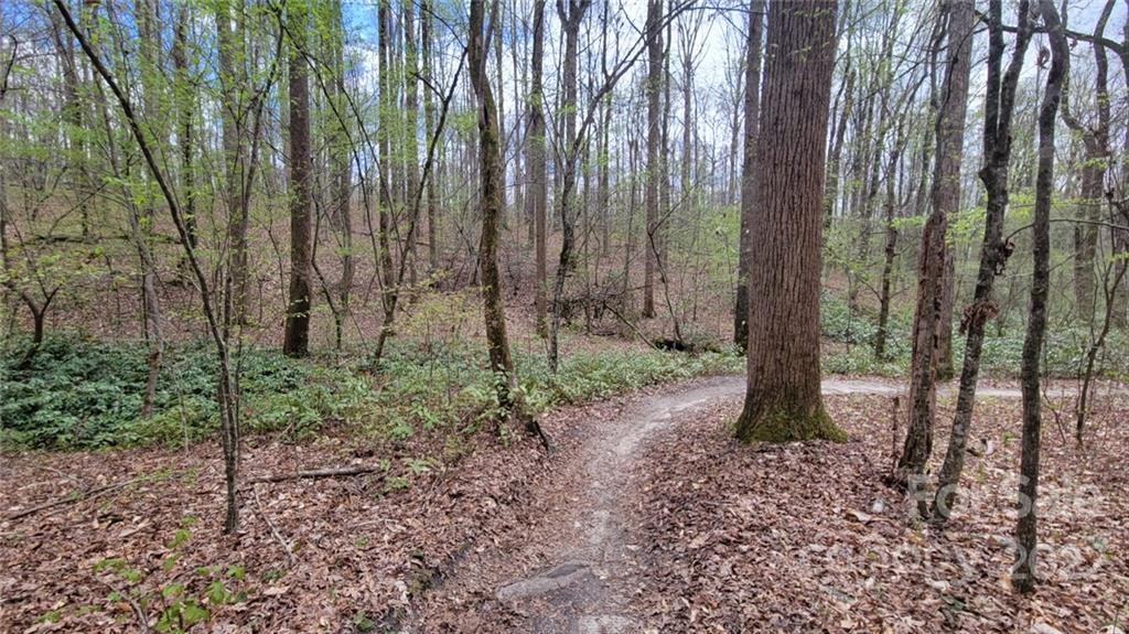 22 Boy Scout Road Lincolnton, NC 28092 - Photo 20 of 27 Gallery Image 20