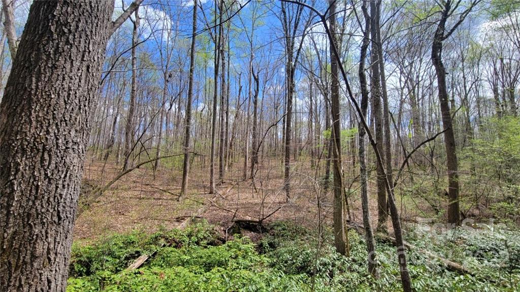 22 Boy Scout Road Lincolnton, NC 28092 - Photo 21 of 27 Gallery Image 21