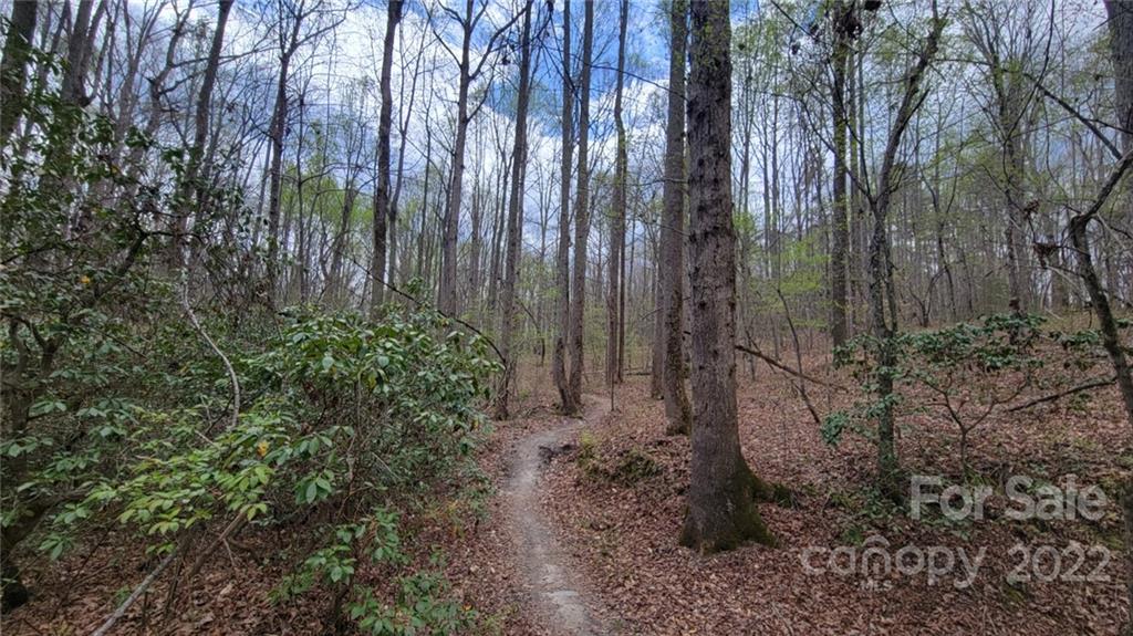 22 Boy Scout Road Lincolnton, NC 28092 - Photo 22 of 27 Gallery Image 22