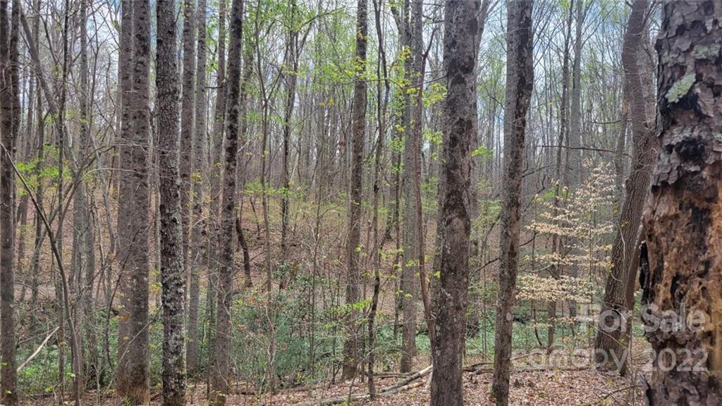 22 Boy Scout Road Lincolnton, NC 28092 - Photo 23 of 27 Gallery Image 23