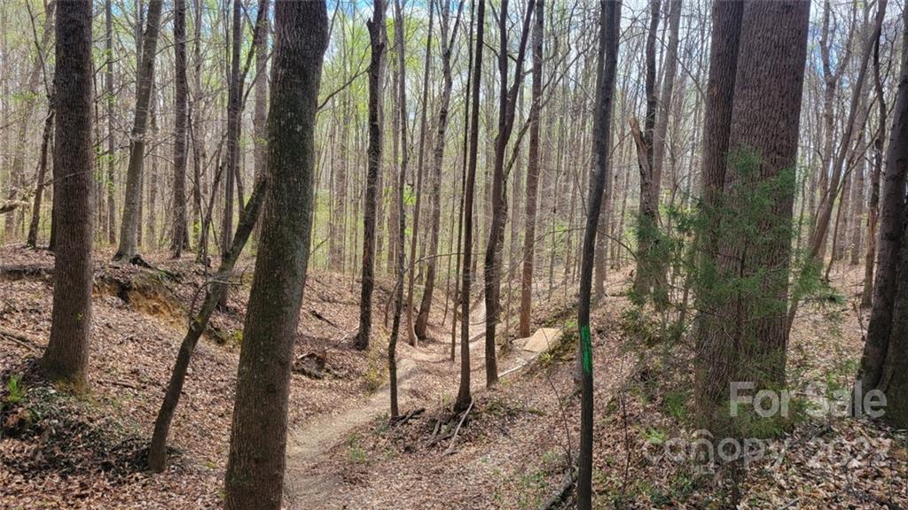 22 Boy Scout Road Lincolnton, NC 28092 - Photo 25 of 27 Gallery Image 25