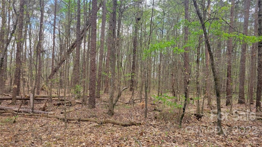 22 Boy Scout Road Lincolnton, NC 28092 - Photo 26 of 27 Gallery Image 26