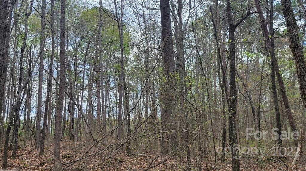 22 Boy Scout Road Lincolnton, NC 28092 - Photo 27 of 27 Gallery Image 27