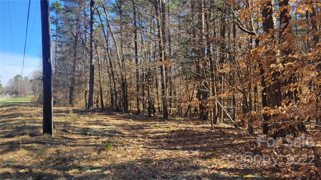 22 Boy Scout Road Lincolnton, NC 28092 - Photo 3 of 27 Gallery Image 3