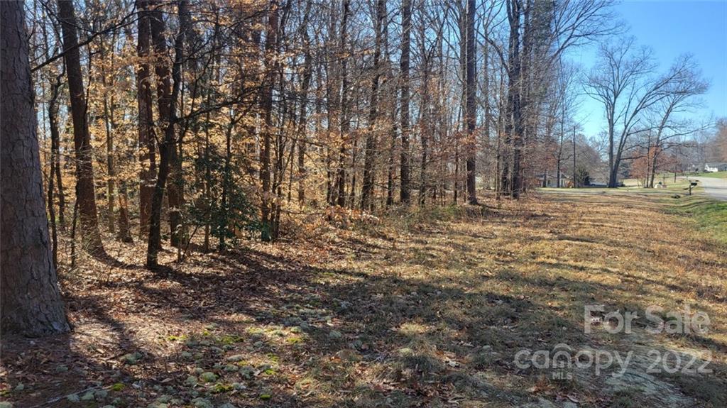 22 Boy Scout Road Lincolnton, NC 28092 - Photo 4 of 27 Gallery Image 4