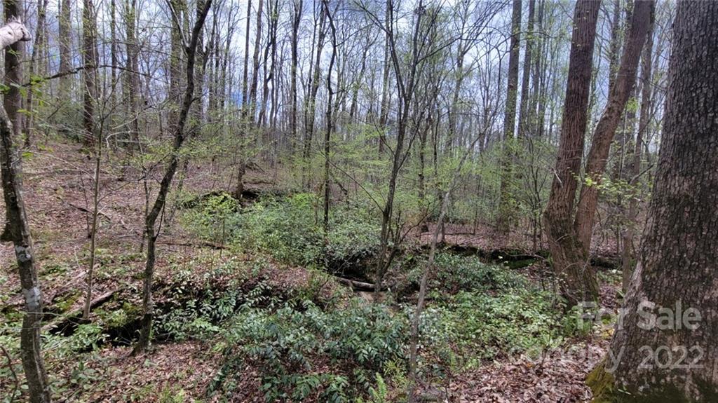 22 Boy Scout Road Lincolnton, NC 28092 - Photo 6 of 27 Gallery Image 6