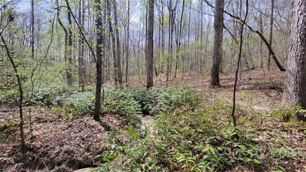 22 Boy Scout Road Lincolnton, NC 28092 - Photo 7 of 27 Gallery Image 7