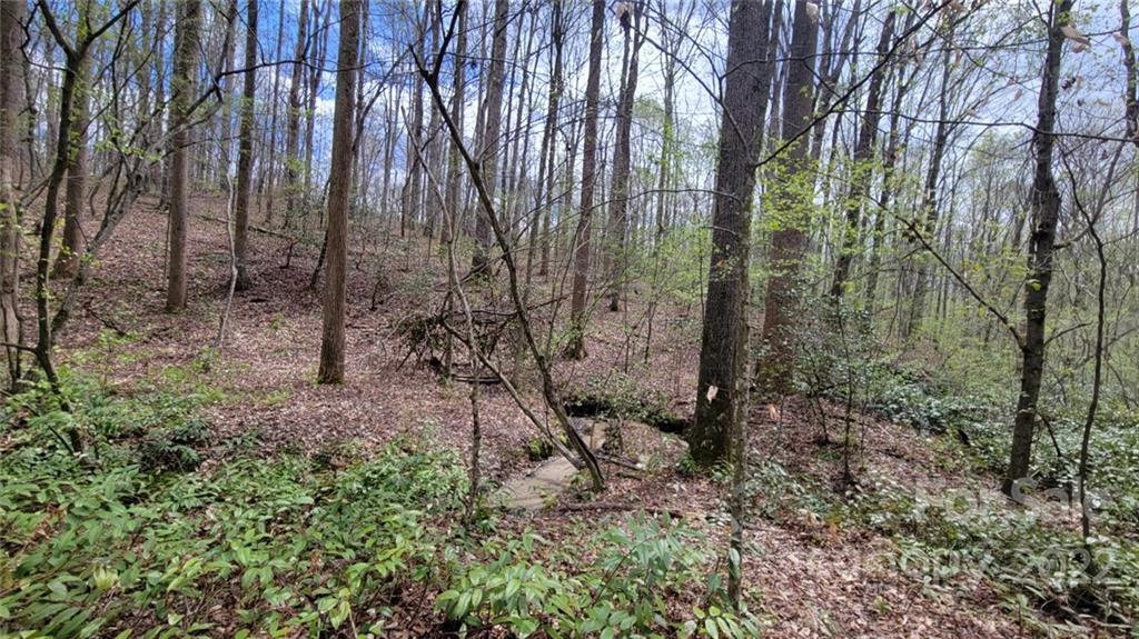 22 Boy Scout Road Lincolnton, NC 28092 - Photo 8 of 27 Gallery Image 8