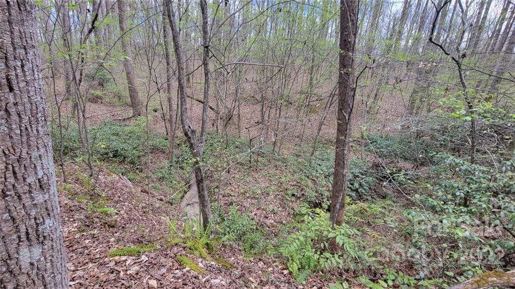 22 Boy Scout Road Lincolnton, NC 28092 - Photo 9 of 27 Gallery Image 9