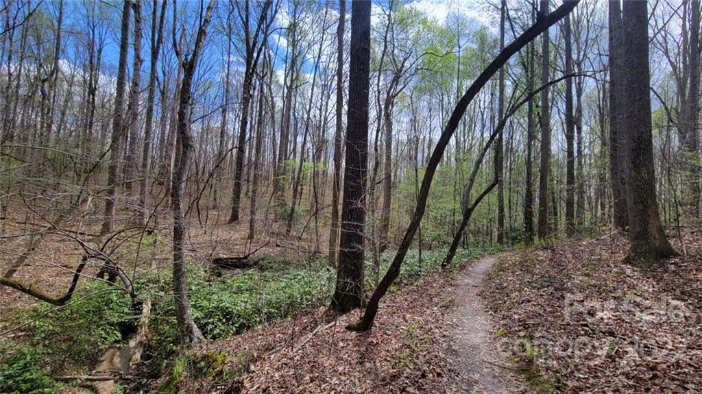 22 Boy Scout Road Lincolnton, NC 28092 - Photo 10 of 27 Gallery Image 10