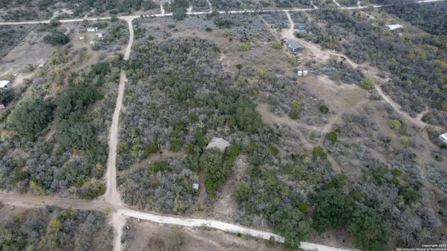 a view of a forest with trees