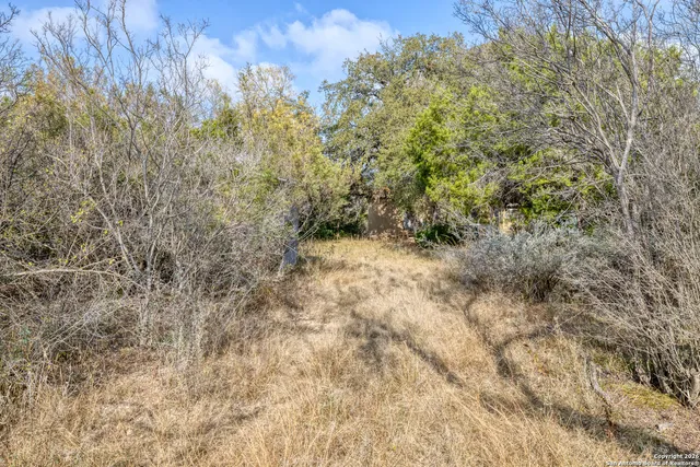 a view of a yard with a tree