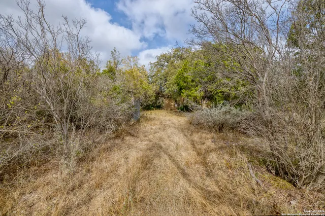 a view of a yard with a tree