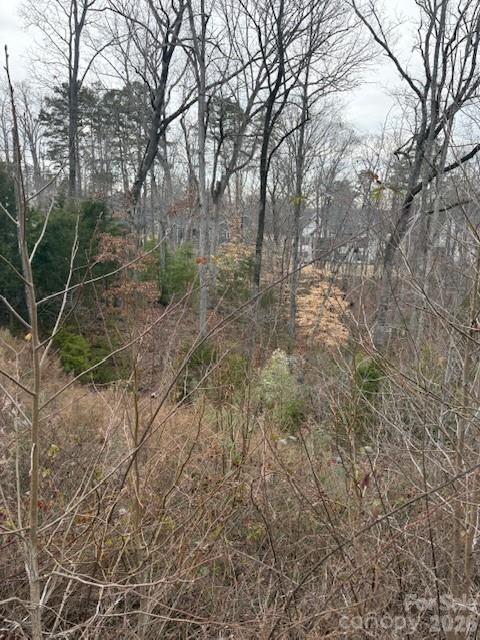 5155 Watersail Way Clover, SC 29710 - Photo 2 of 3