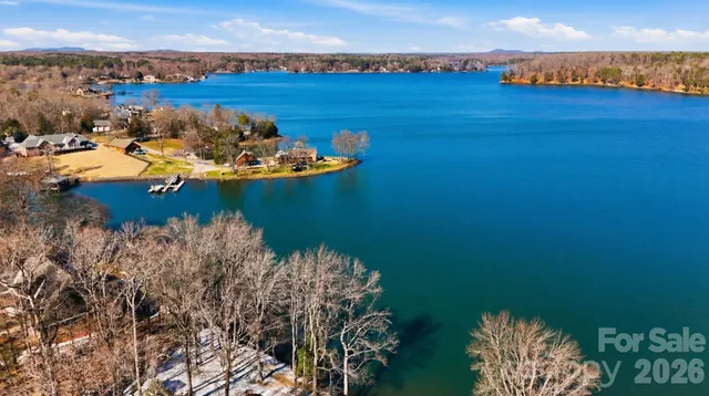 a view of a yard with plants and large trees