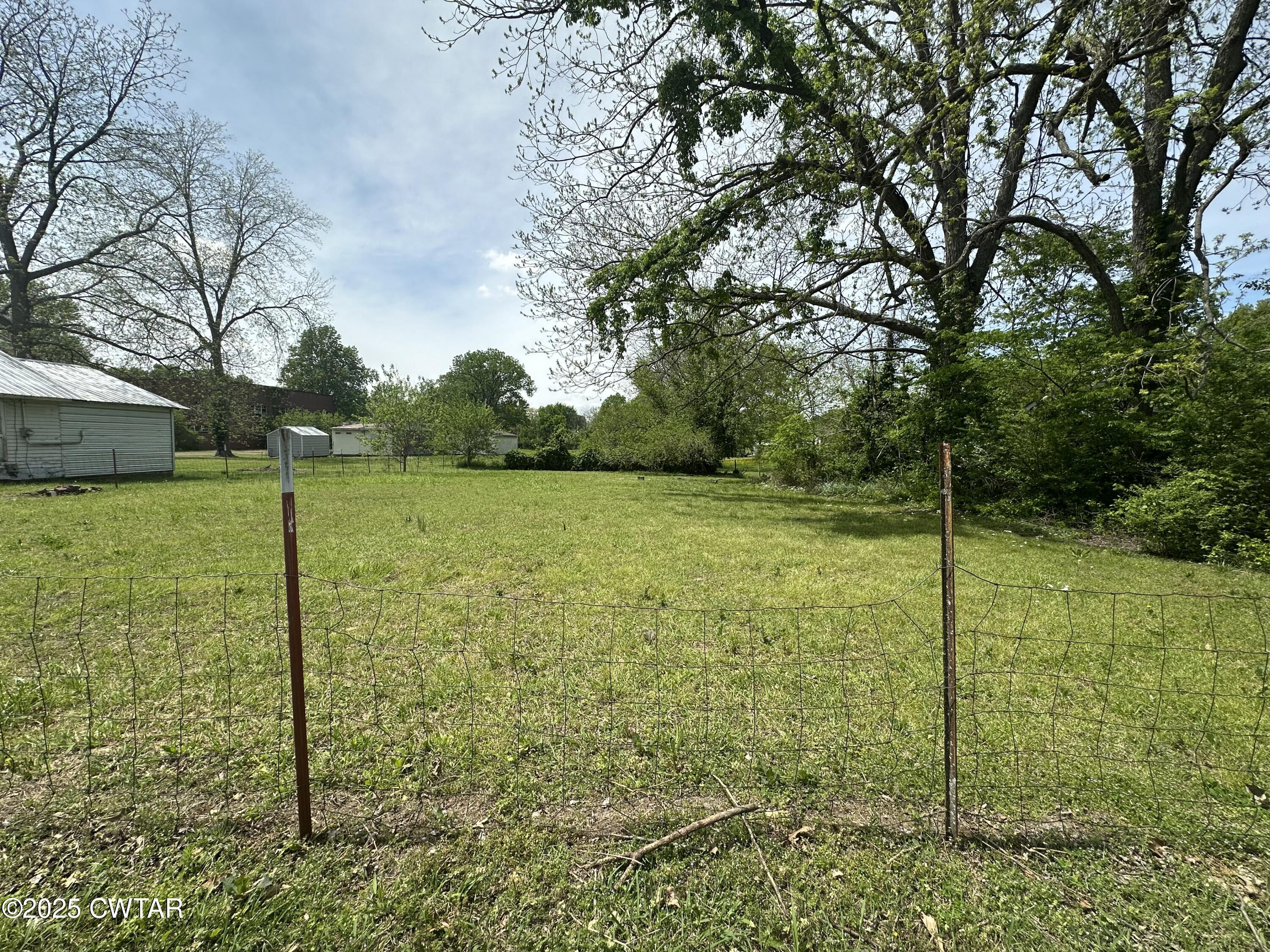 a view of a garden with a tree