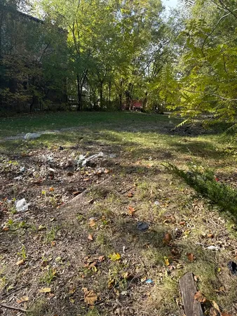 a view of a green yard
