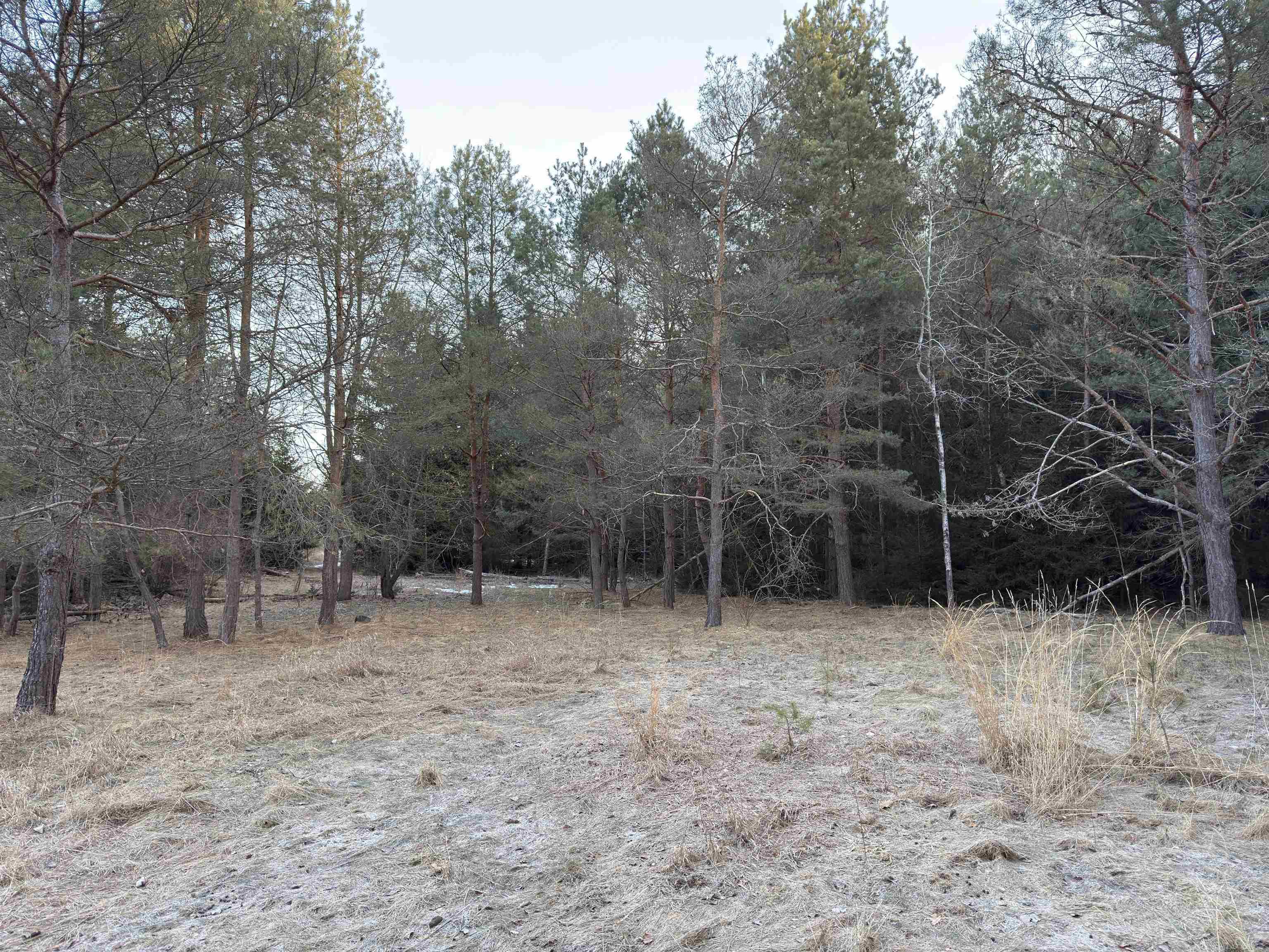 3635 Washington Road Carsonville, MI 48419 - Photo 14 of 17