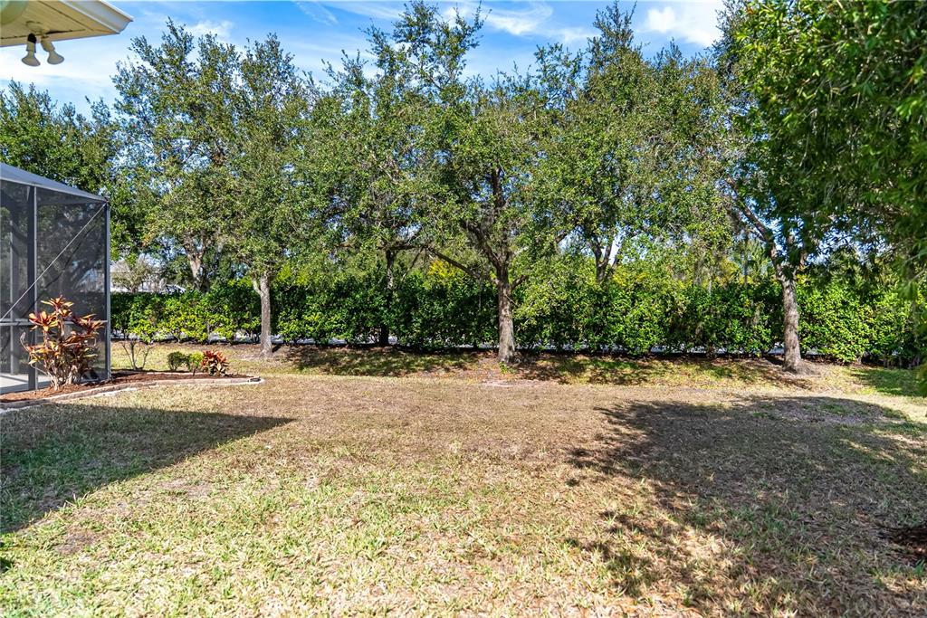 12516 24th Street East Parrish, FL 34219 - Photo 35 of 47 a view of a yard with a tree
