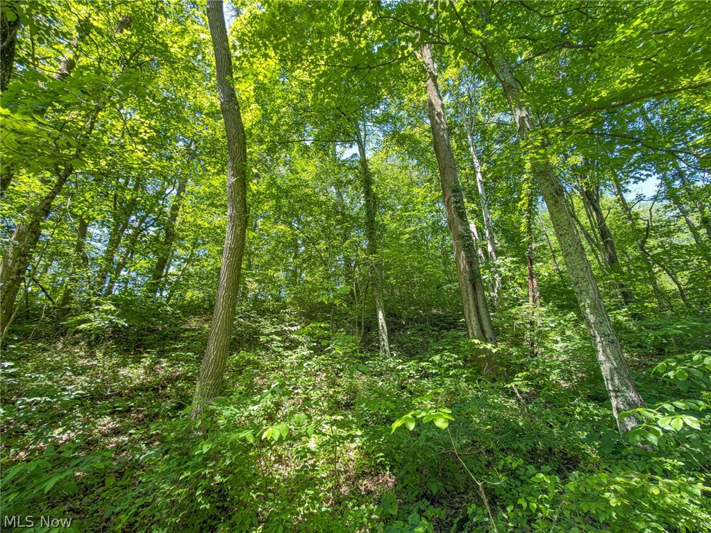 0 Twp Road Marietta, OH 45750 - Photo 31 of 50