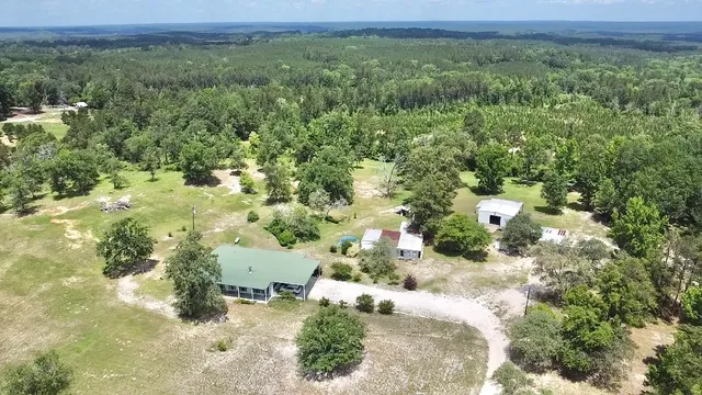 a view of a big yard with lots of trees