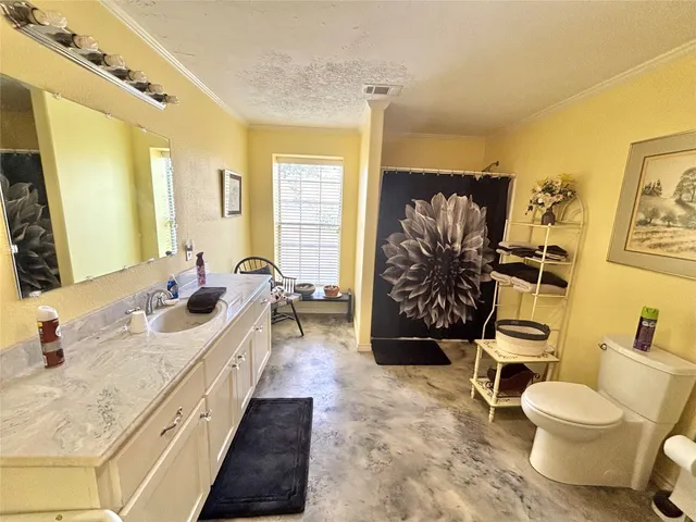 a view of a flower in a garden