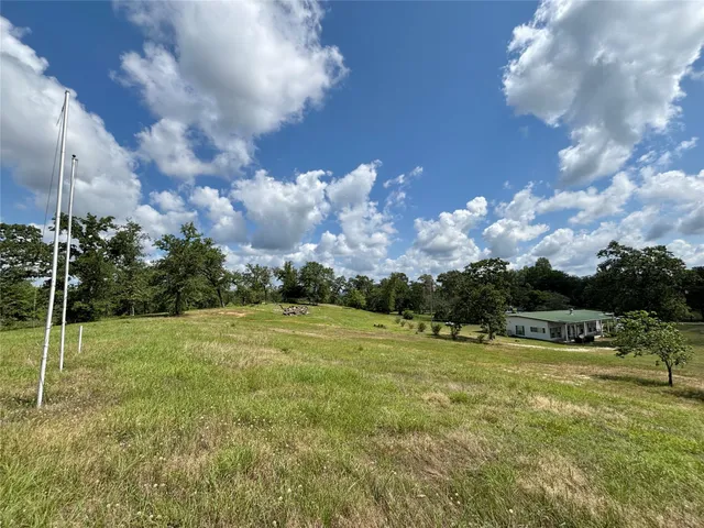 a view of yard with large trees
