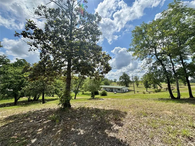 a view of a big yard with plants and large trees