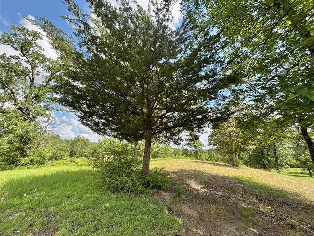 $375,000 | 4647 Recreational Road 255, Colmesneil, TX 75938