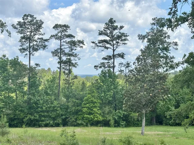 $375,000 | 4647 Recreational Road 255, Colmesneil, TX 75938