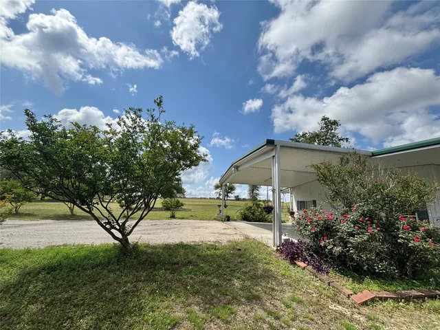 a view of a garden with a bench