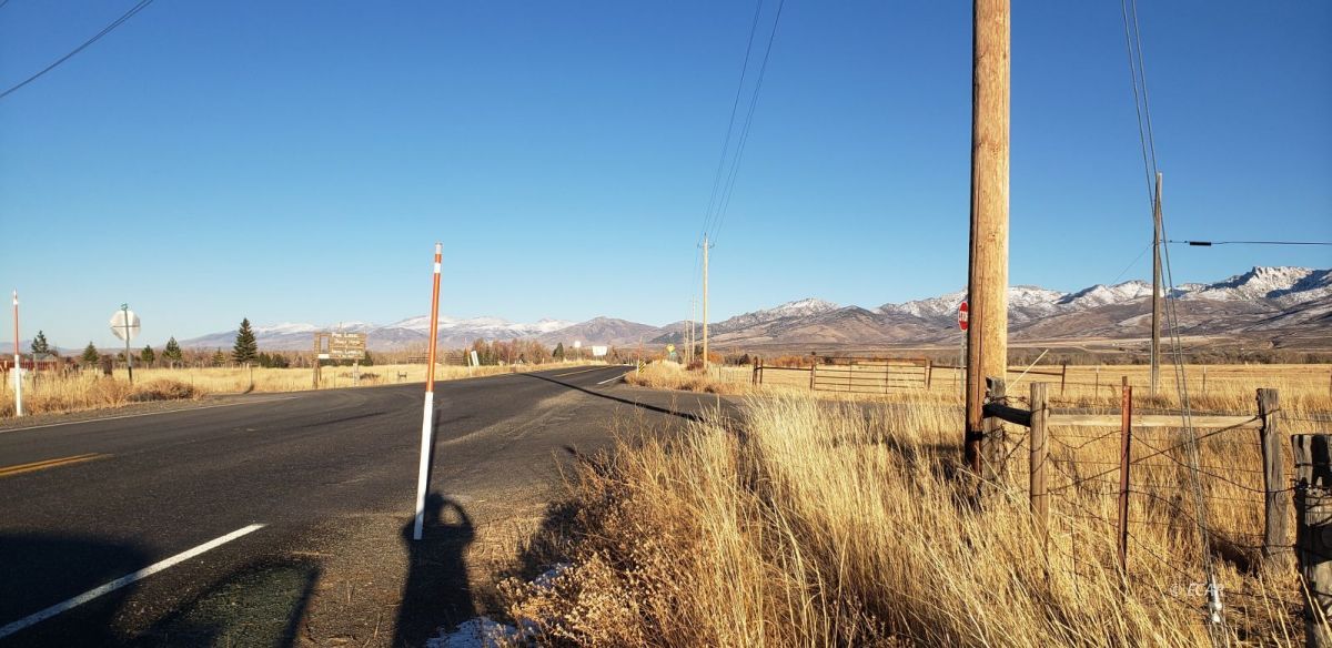 North Canyon Road Lamoille, NV 89828 - Photo 6 of 6