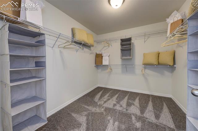 4977 Truscott Road Colorado Springs, CO 80925 - Photo 28 of 28 *Photos from previous Van Buren Model Home