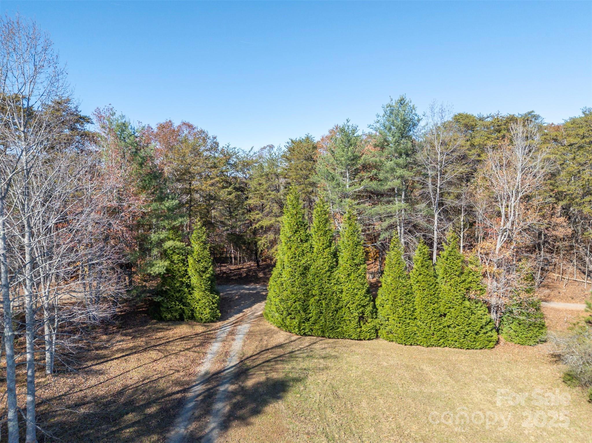 891 Meadow Crest Road Tryon, NC 28782 - Photo 39 of 47 a view of a garden