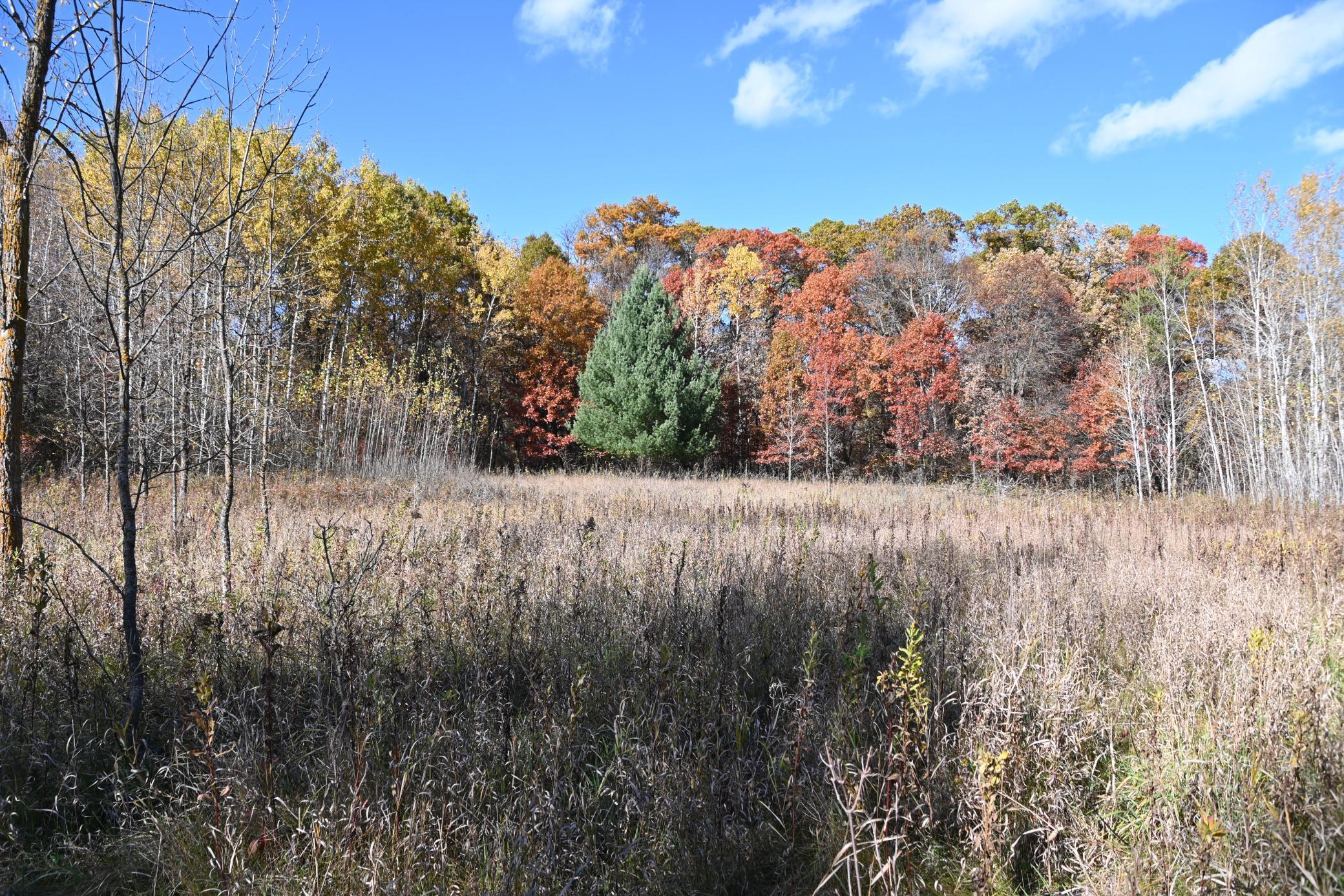 27727 Oberon Loop Browerville, MN 56438 - Photo 11 of 45
