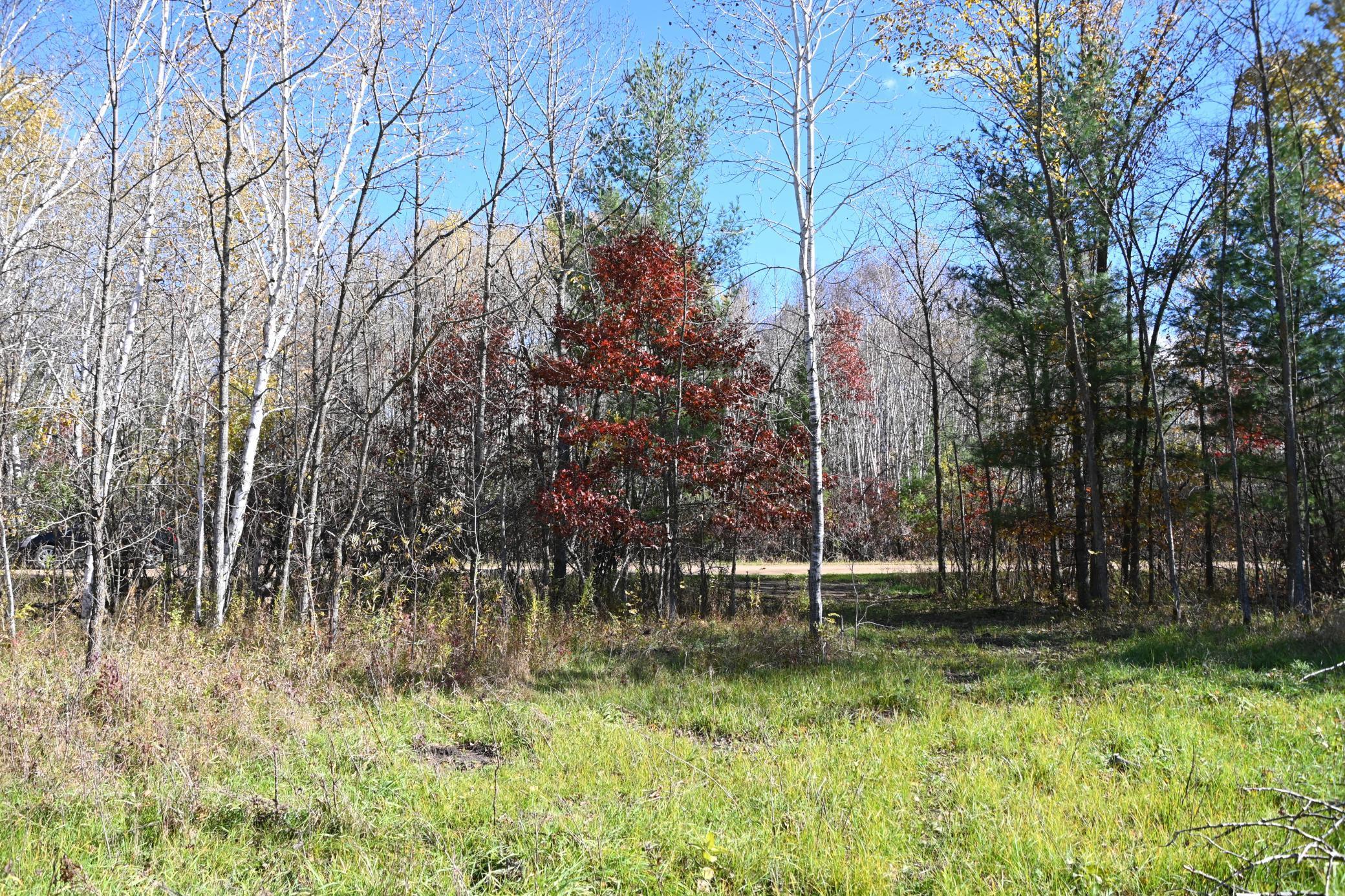 27727 Oberon Loop Browerville, MN 56438 - Photo 12 of 45