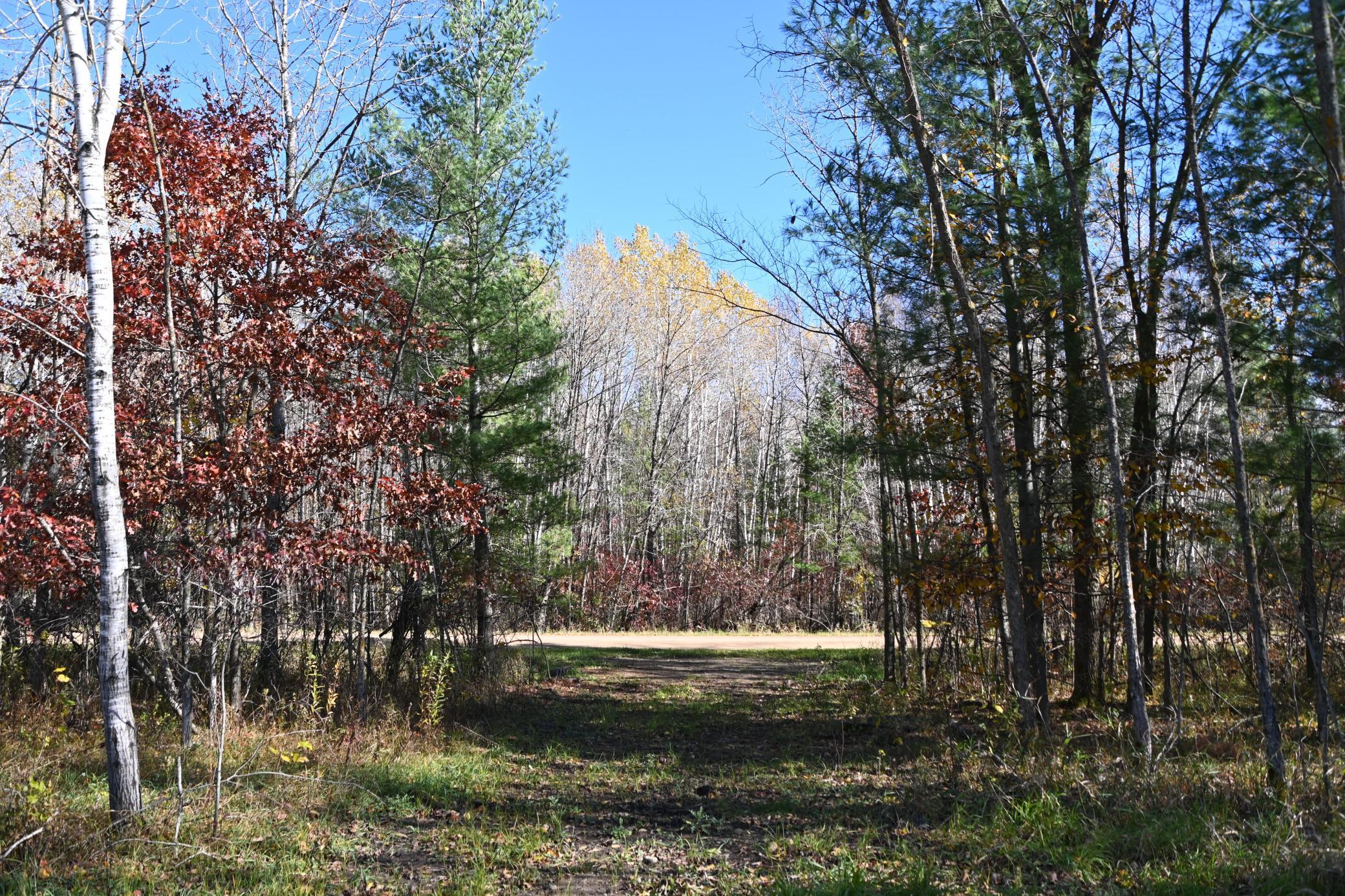 27727 Oberon Loop Browerville, MN 56438 - Photo 13 of 45