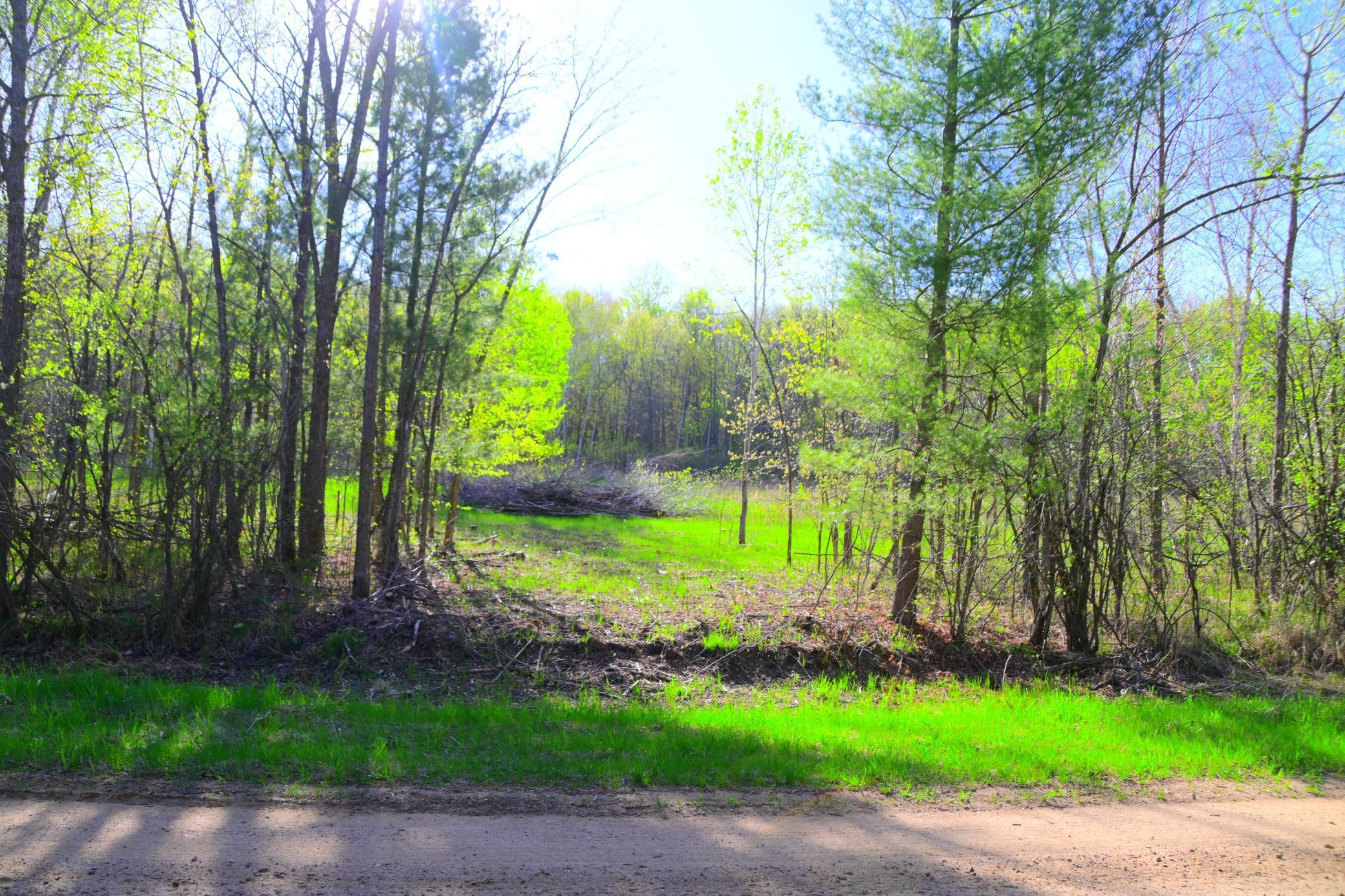 27727 Oberon Loop Browerville, MN 56438 - Photo 19 of 45