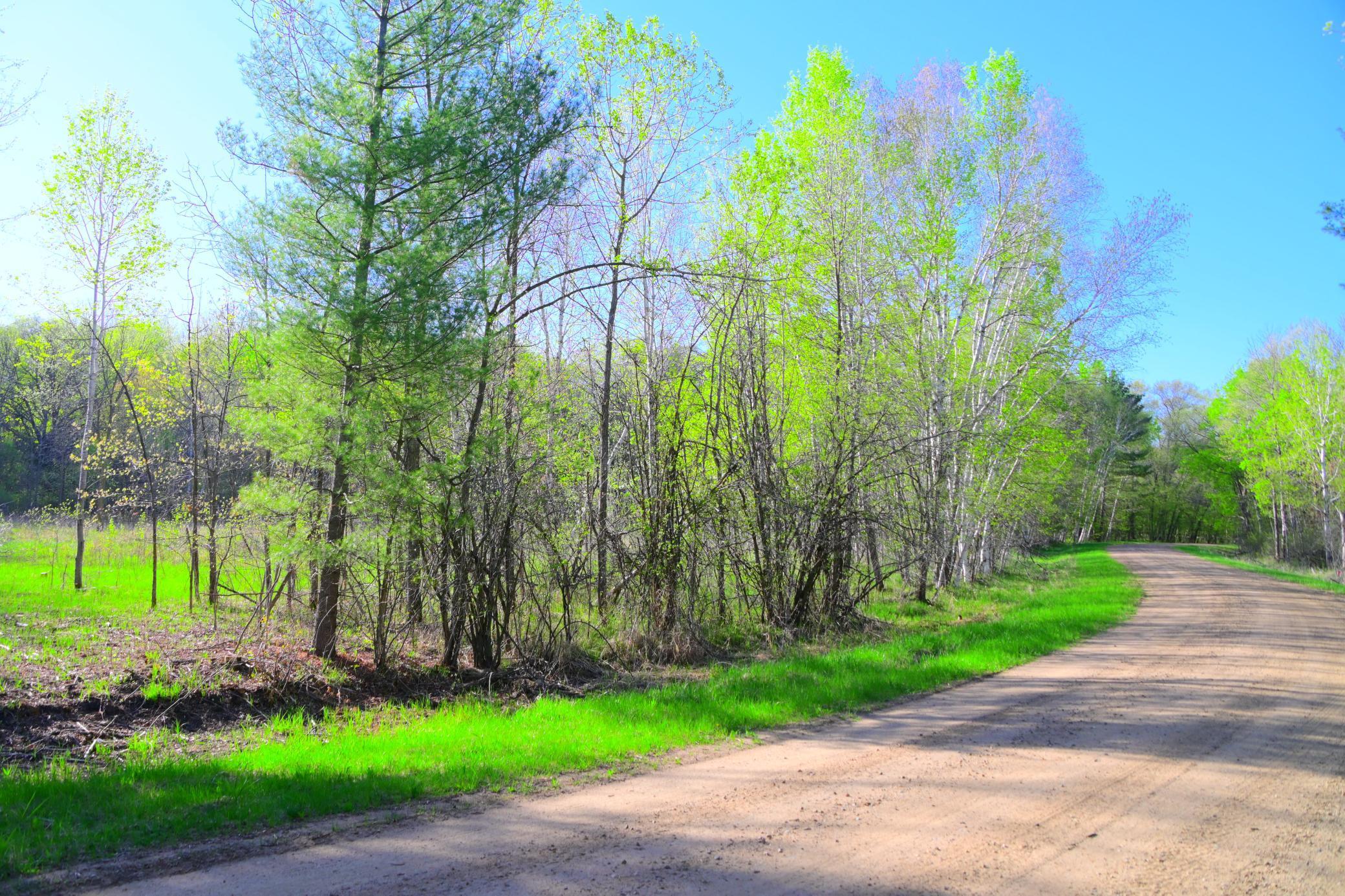 27727 Oberon Loop Browerville, MN 56438 - Photo 20 of 45