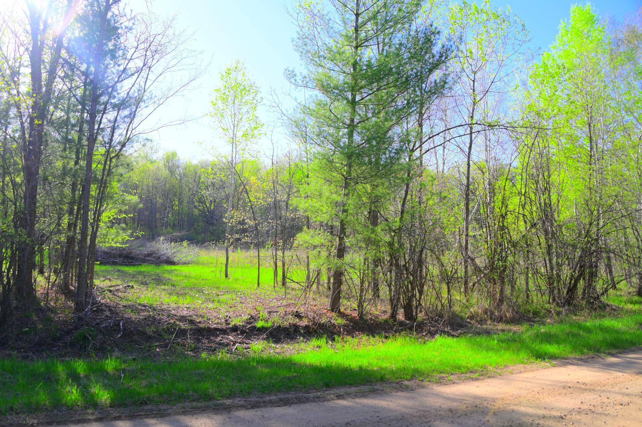 27727 Oberon Loop Browerville, MN 56438 - Photo 21 of 45