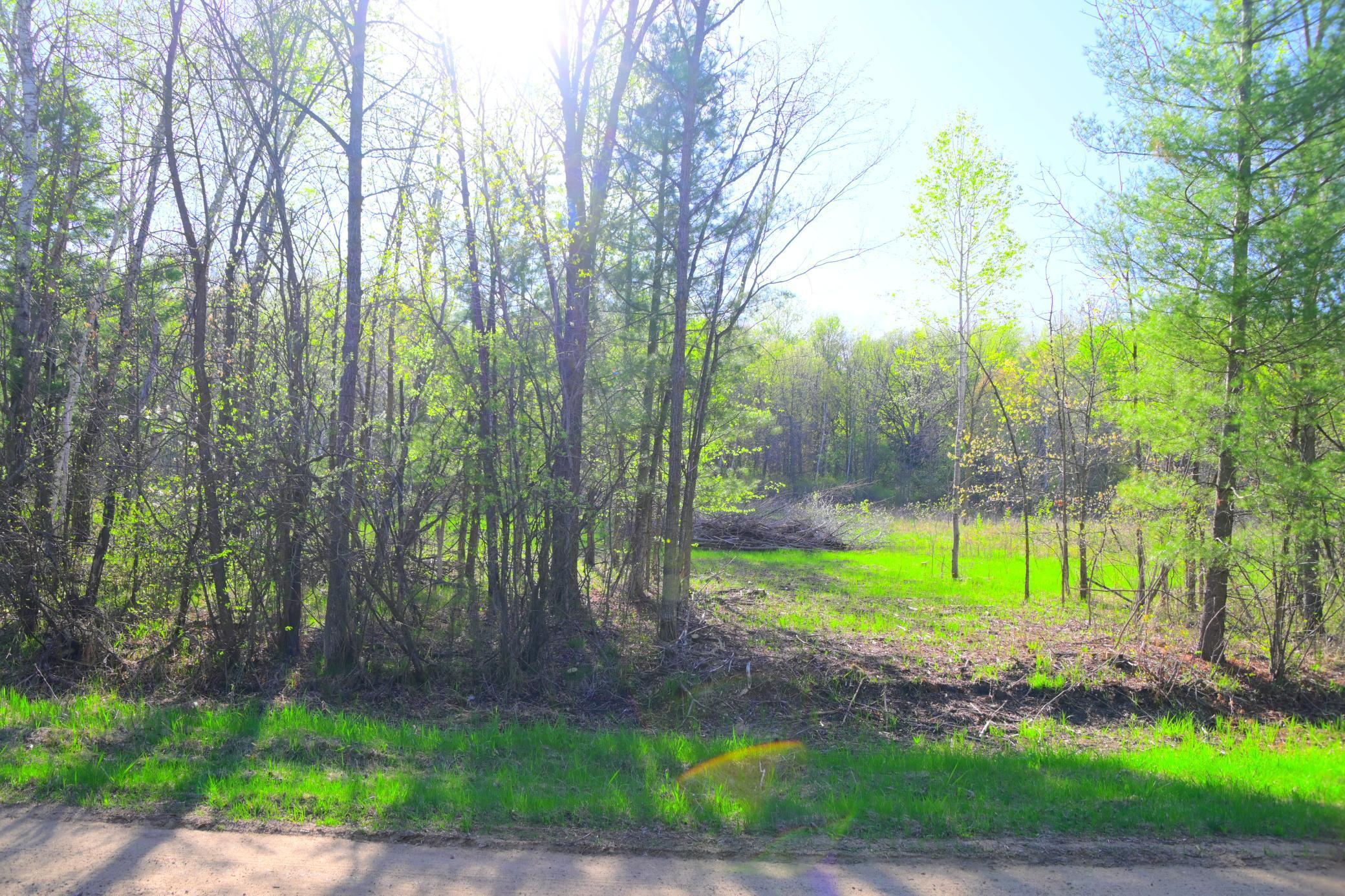 27727 Oberon Loop Browerville, MN 56438 - Photo 22 of 45