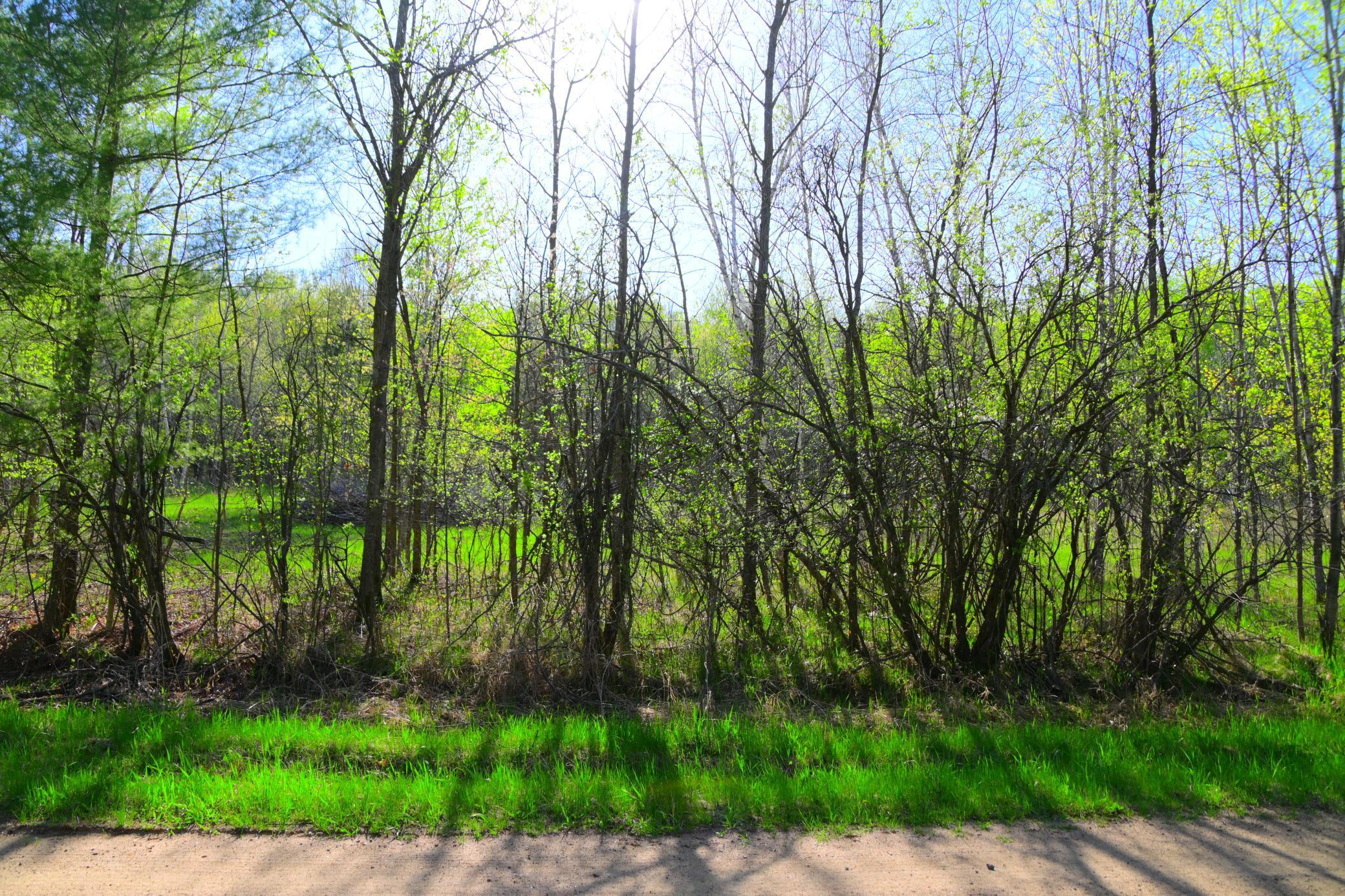 27727 Oberon Loop Browerville, MN 56438 - Photo 23 of 45