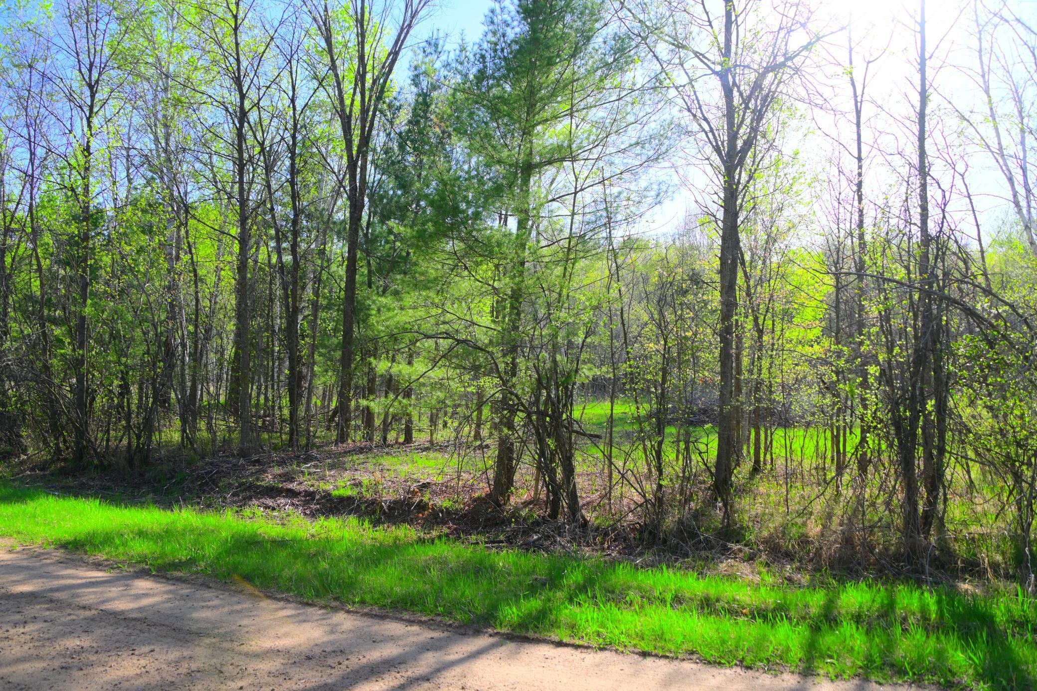 27727 Oberon Loop Browerville, MN 56438 - Photo 24 of 45