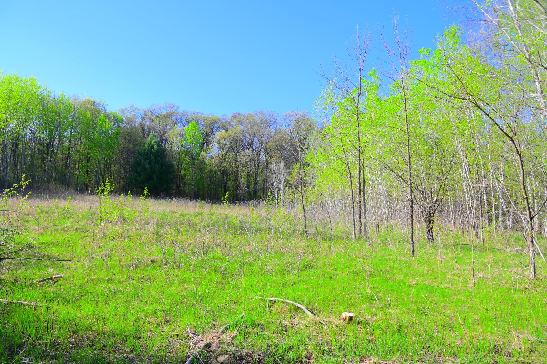 27727 Oberon Loop Browerville, MN 56438 - Photo 27 of 45